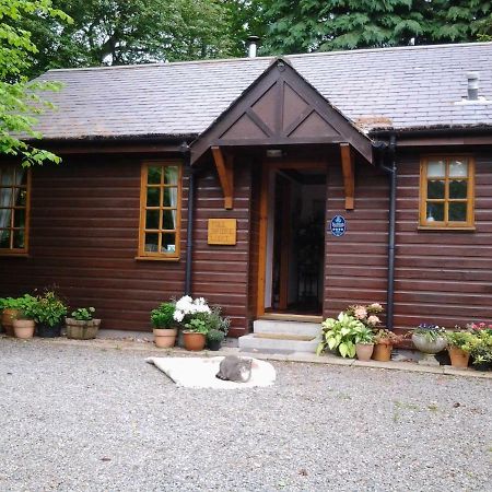 בנצ'ורי Toll Bridge Lodge מראה חיצוני תמונה